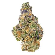 Photograph of product: FC | Animal Mintz | 28G Sungrown Flower