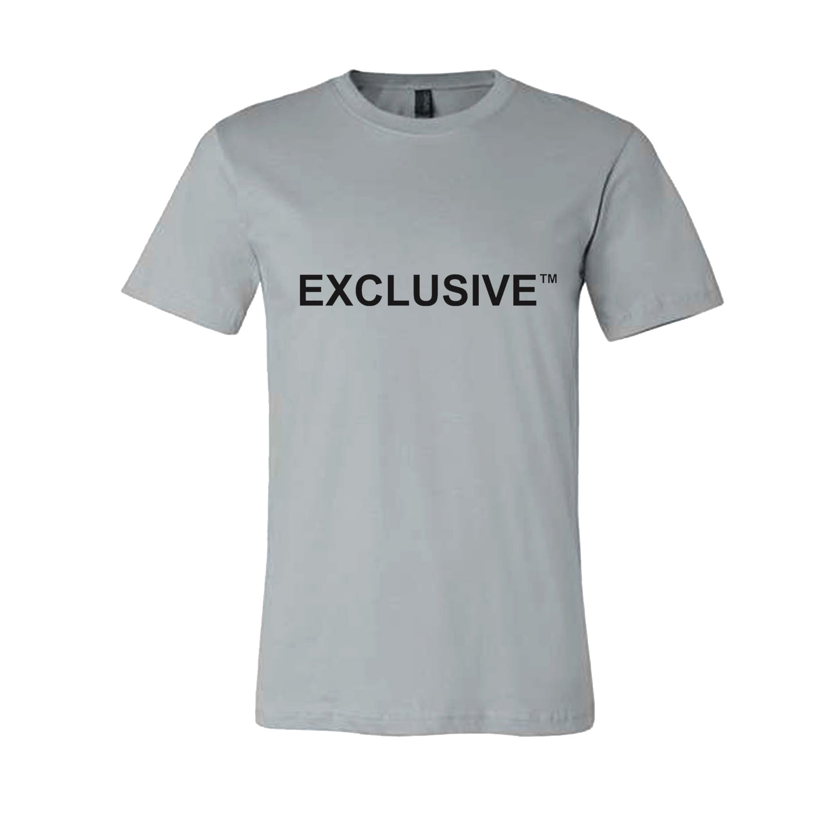Photograph of product: Exclusive Grey T Shirt - XS