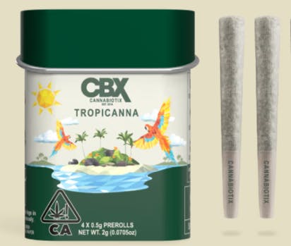 Photograph of product: CBX Tropicana 4pk tin - 