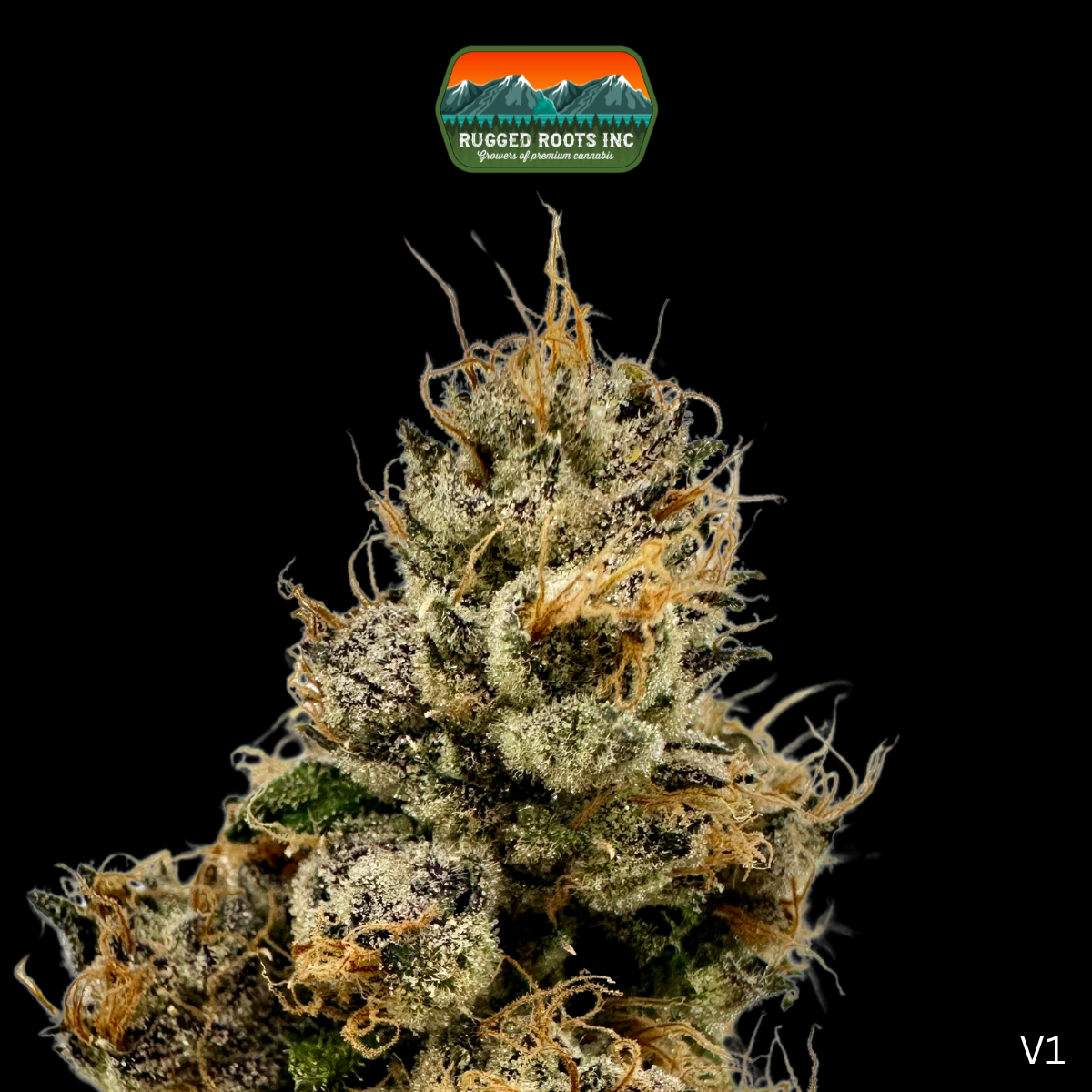 Photograph of product: Rugged Roots | Runtz 3.5g