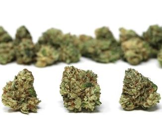 Photograph of product: OMG Mixed Buds Flower T25.38 (1-00850) - 14g