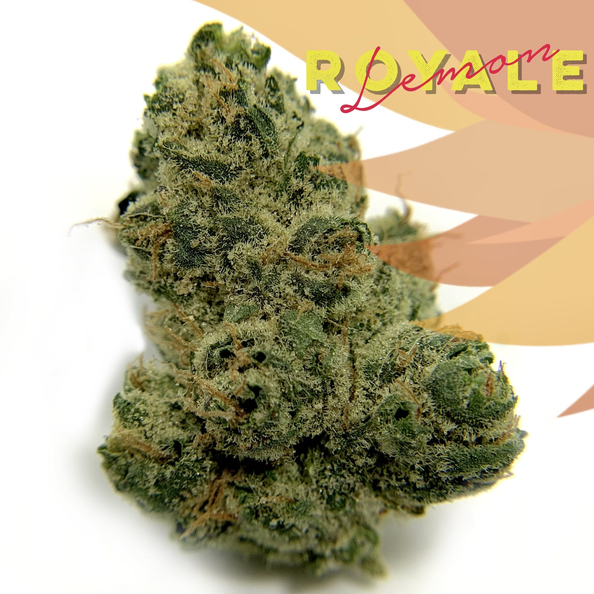 Photograph of product: Lemon Royale-3.5g || District Oui'd