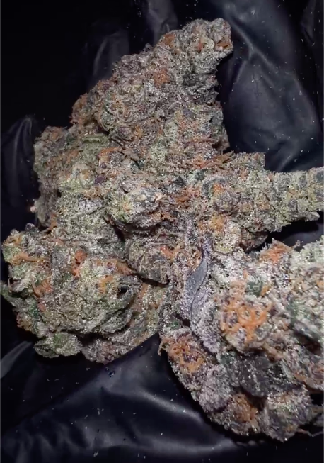 Photograph of product: LUNA LEAF | $5 GRAM | Paradiso | Flower (I/H) - 1g
