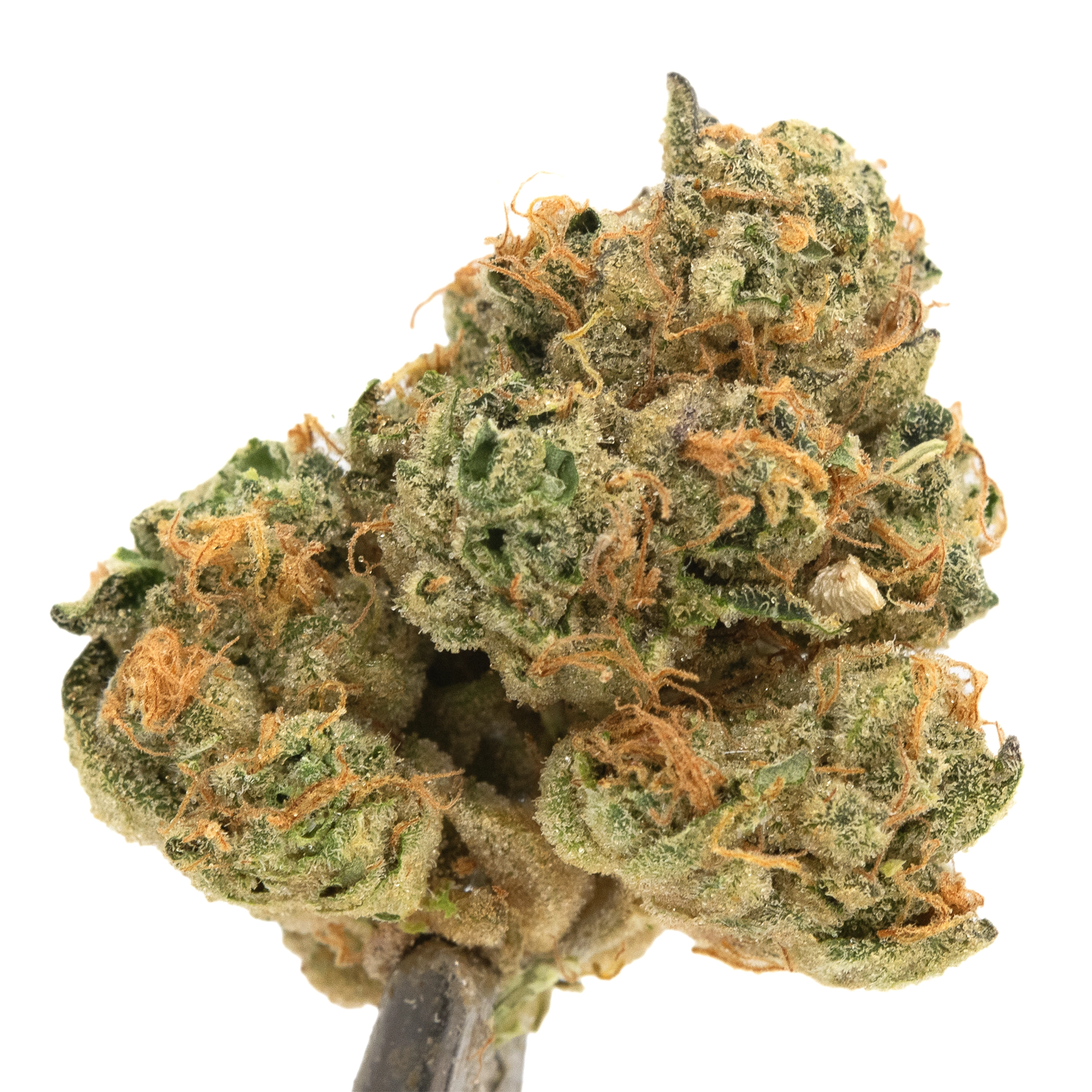 Photograph of product: 3.5g Double Cherry Crescendo