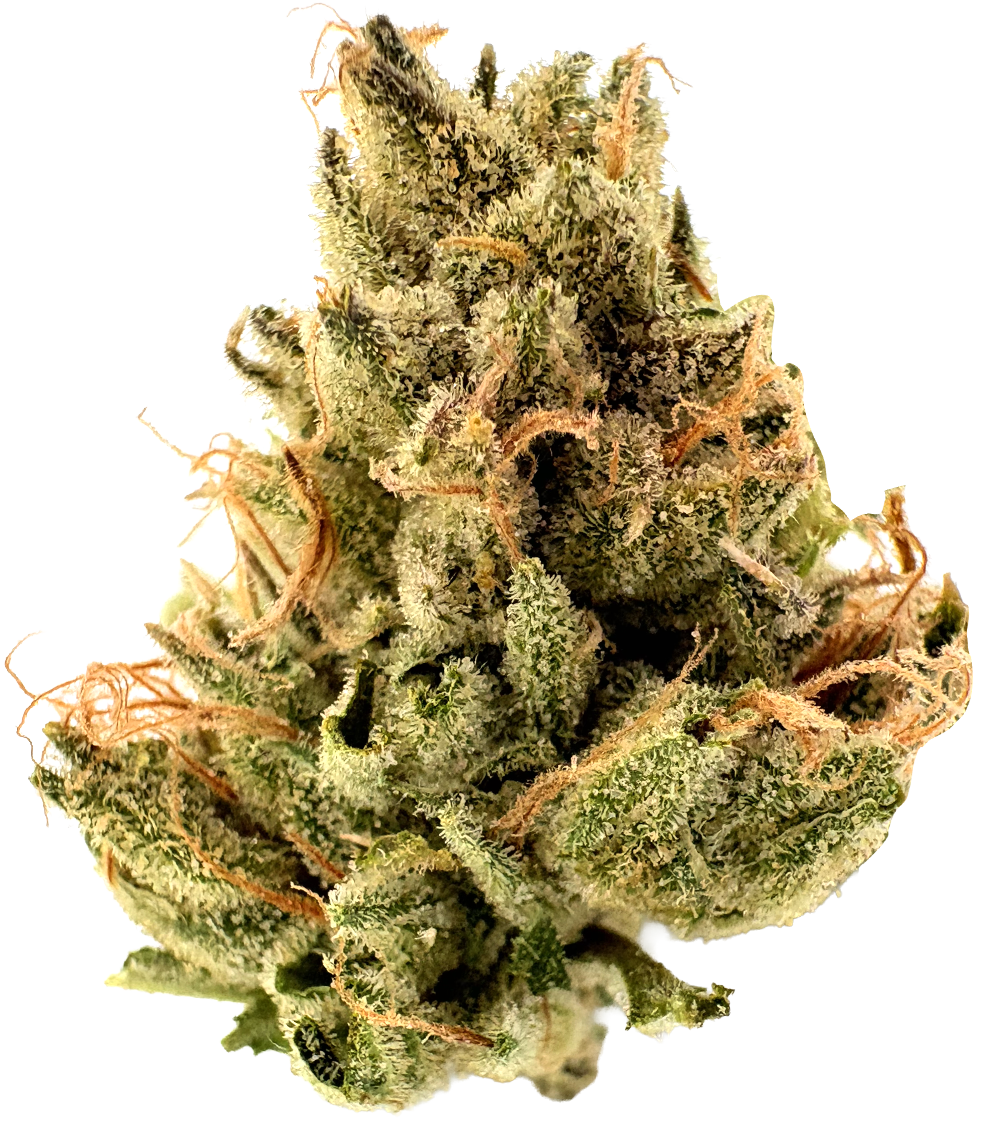 Photograph of product: Heirbloom By CBX | Super Lemon Haze | 3.5G