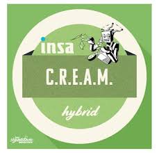 Photograph of product: INSA | C.R.E.A.M (H) - 3.5g