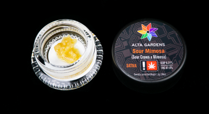 Photograph of product: Alta Gardens | Sugar Sauce | Sour Mimosa