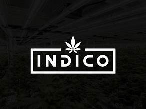 Photograph of product: Indico | Pre-Rolls | OG Bubba
