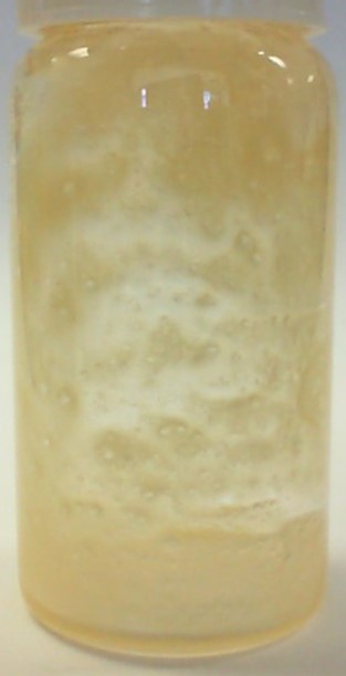 Photograph of product: Jokerz - Sauce