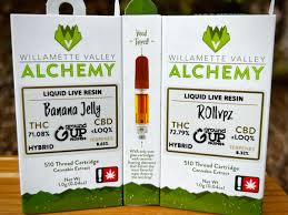 Photograph of product: Live Resin | AIO | Watermelon Jealousy | 1g