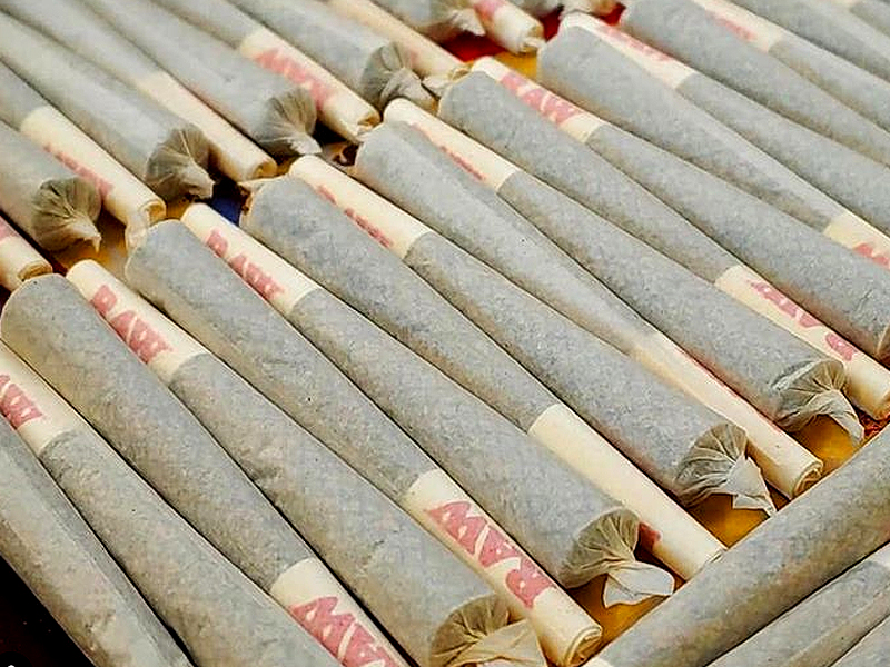 Photograph of product: Purple Panties | 28pk x28 Pre-roll Joints