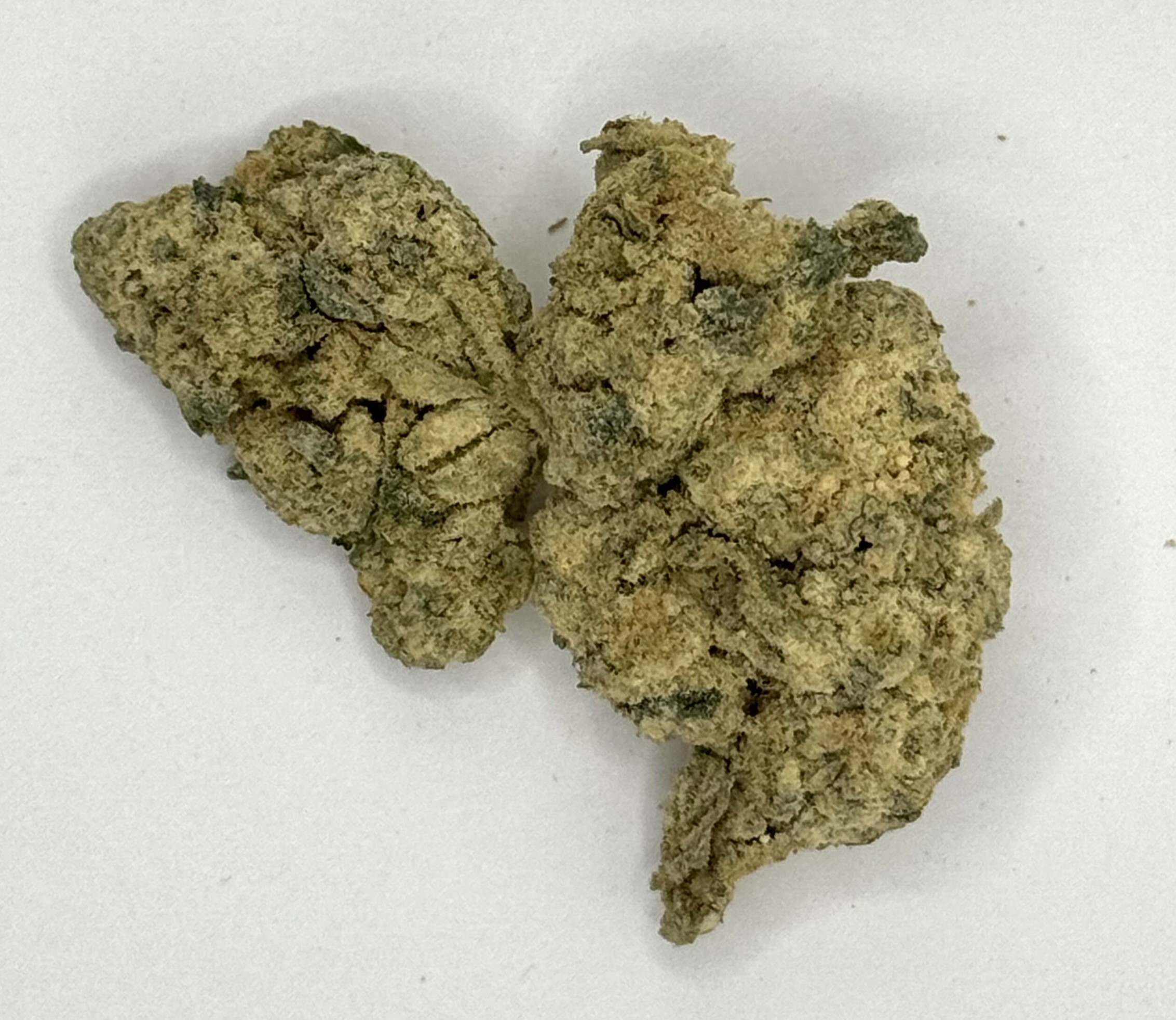 Photograph of product: Freeze Dried Exotic Candy | 3.5G Infused Flower