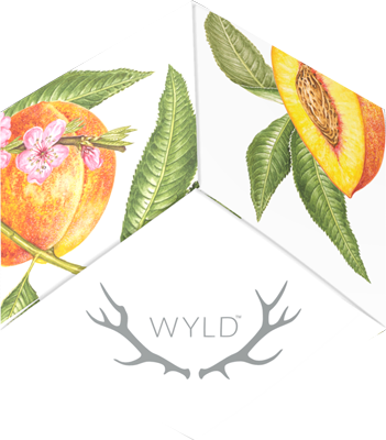 Photograph of product: Wyld - Peach 2:1 CBD (h) - Gummies - 50mg