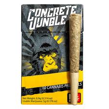 Photograph of product: CONCRETE JUNGLE - PREROLL - 0.5G x 10 - Oui'd - JACK HERER