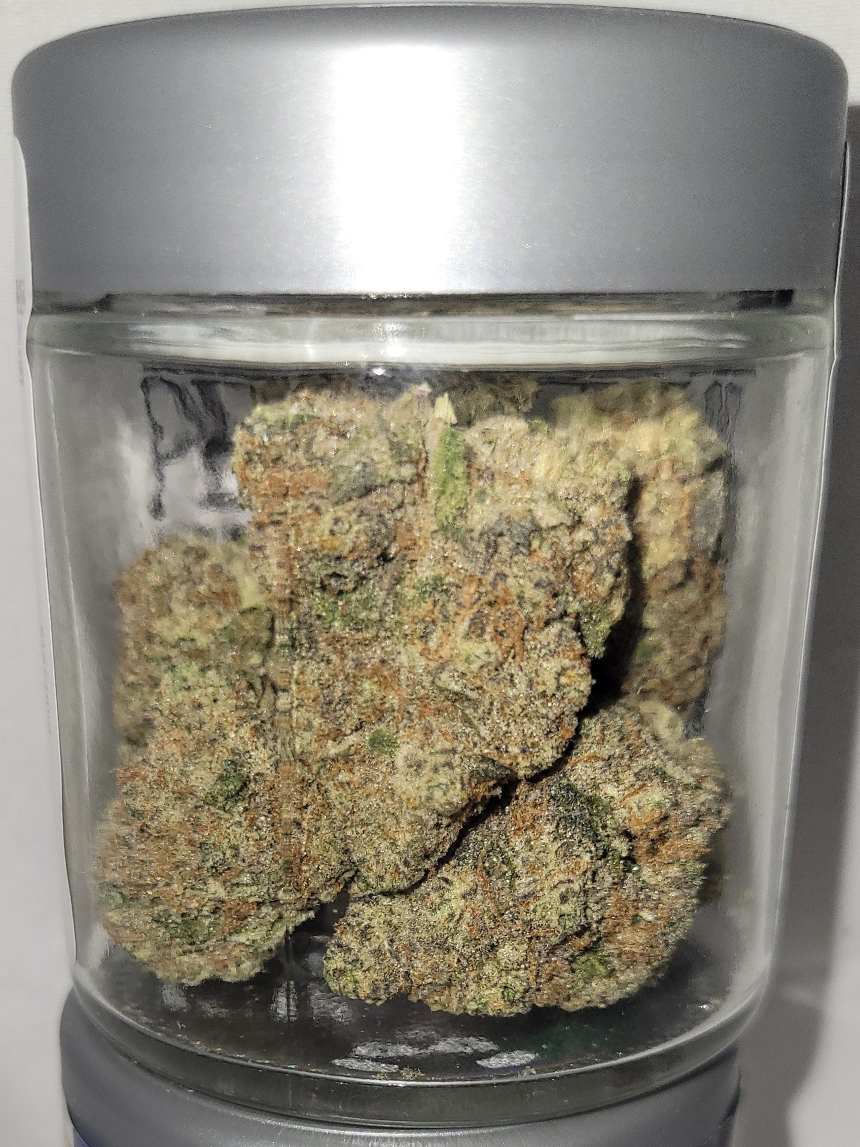 Photograph of product: Area 509 | 7g *General Use Compliant*