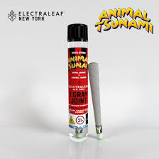 Photograph of product: ELECTRALEAF | ANIMAL TSUNAMI | 1 GRAM PRE-ROLL