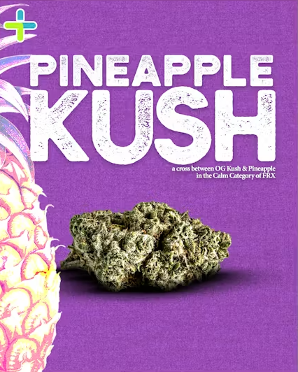 Photograph of product: FRX | Pineapple Kush | 2.83g