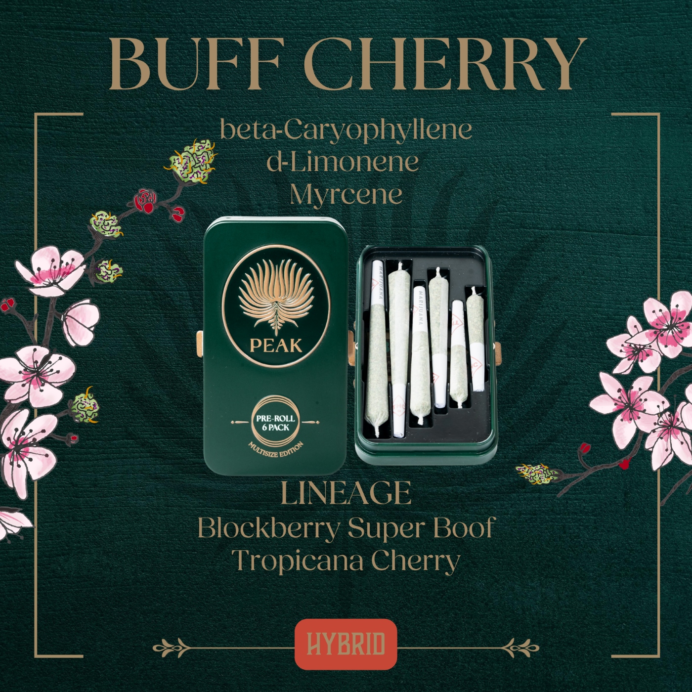 Photograph of product: Multi Size Preroll 6pk [3.5g] | Buff Cherry