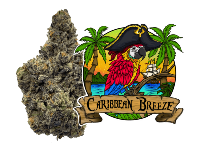Photograph of product: Caribbean Breeze #6 Tops 3.5g (IH)
