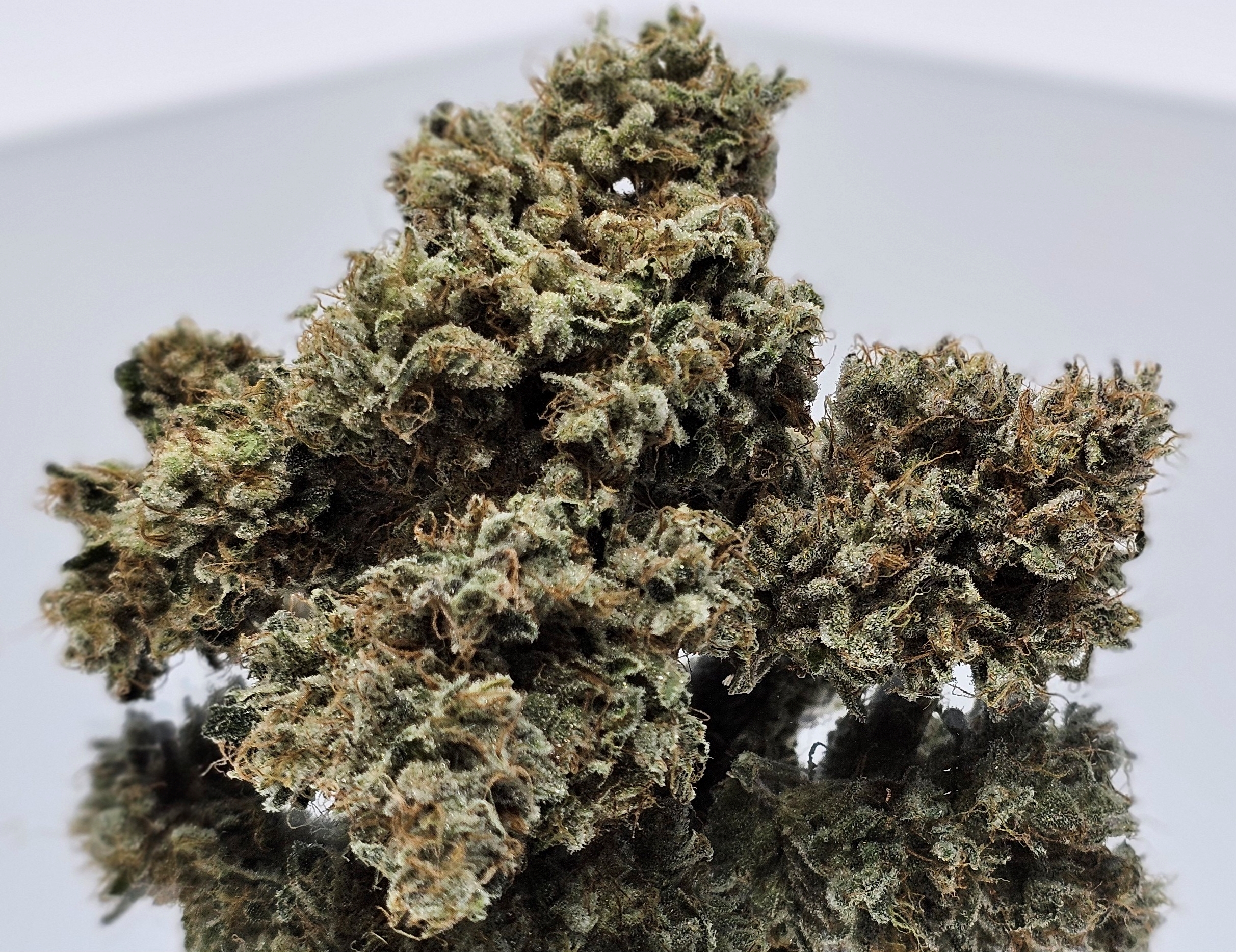 Photograph of product: Smacks [DOH] - by Doghouse - 3.5g