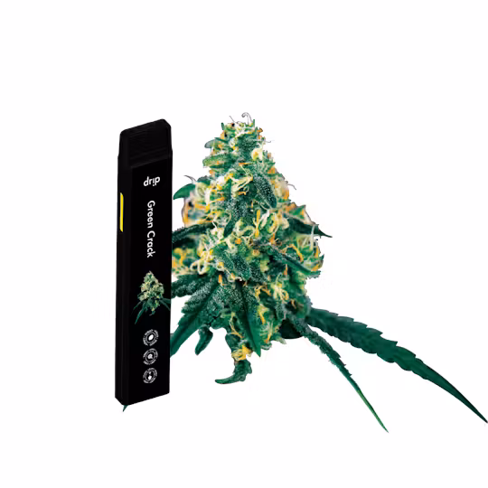 Photograph of product: Drip All in One Disposable Green Crack