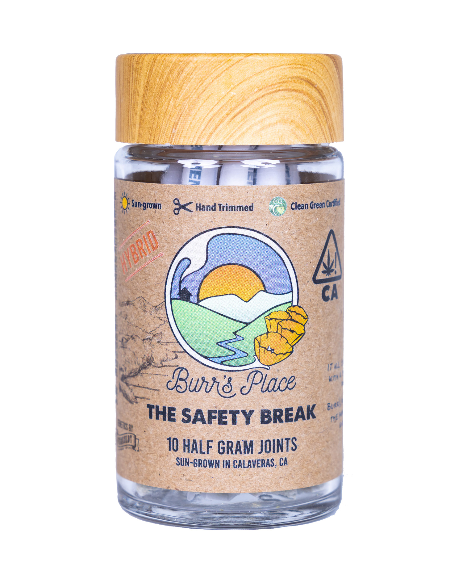 Photograph of product: The Safety Break 10 Pk