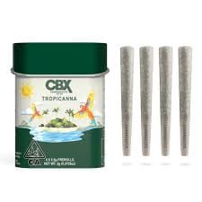Photograph of product: Tropicanna Preroll Tin 2g. - Preroll Pack