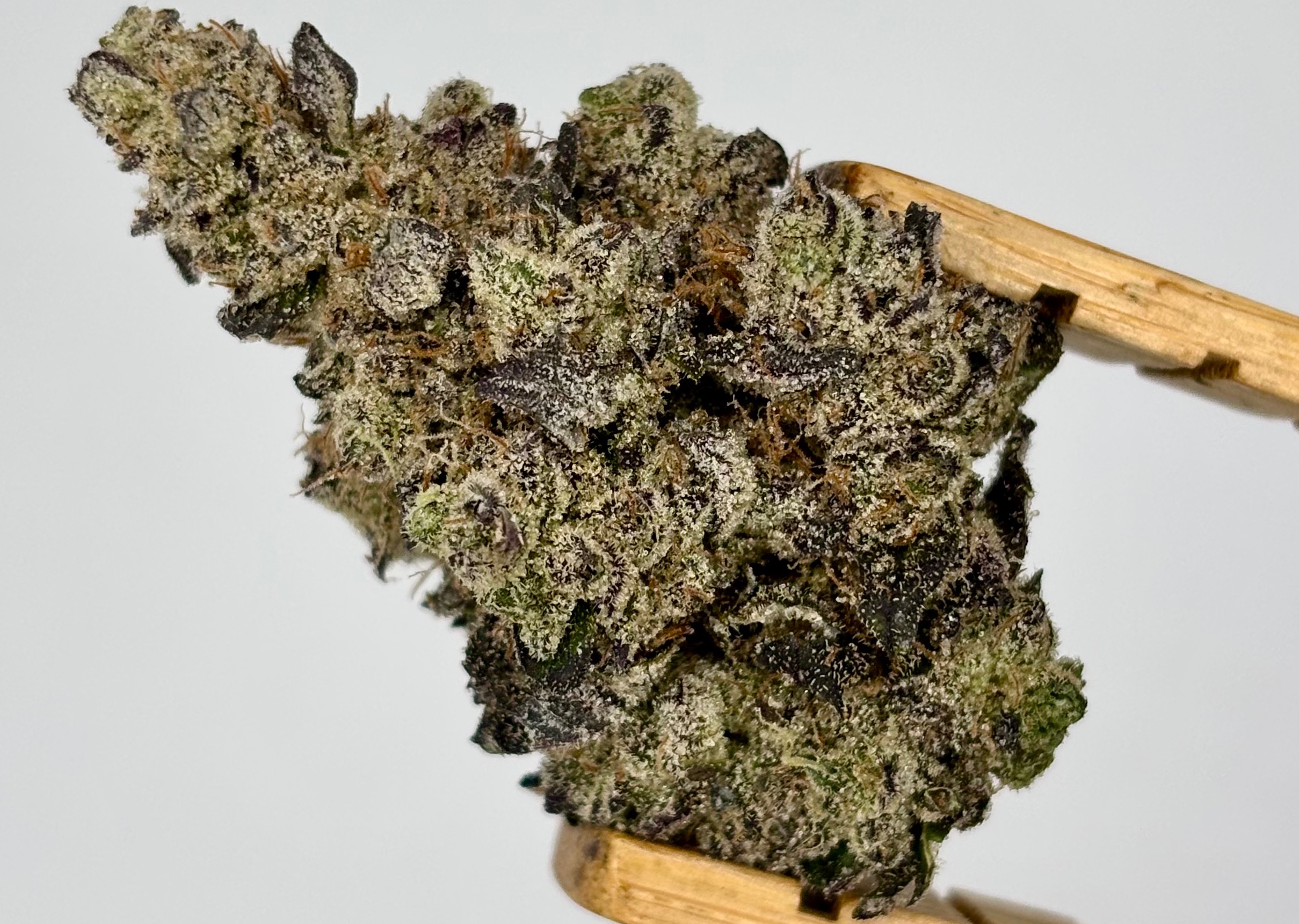 Photograph of product: Classic Roots | Donny Double | Bulk Flower | Purple Tier - 28g