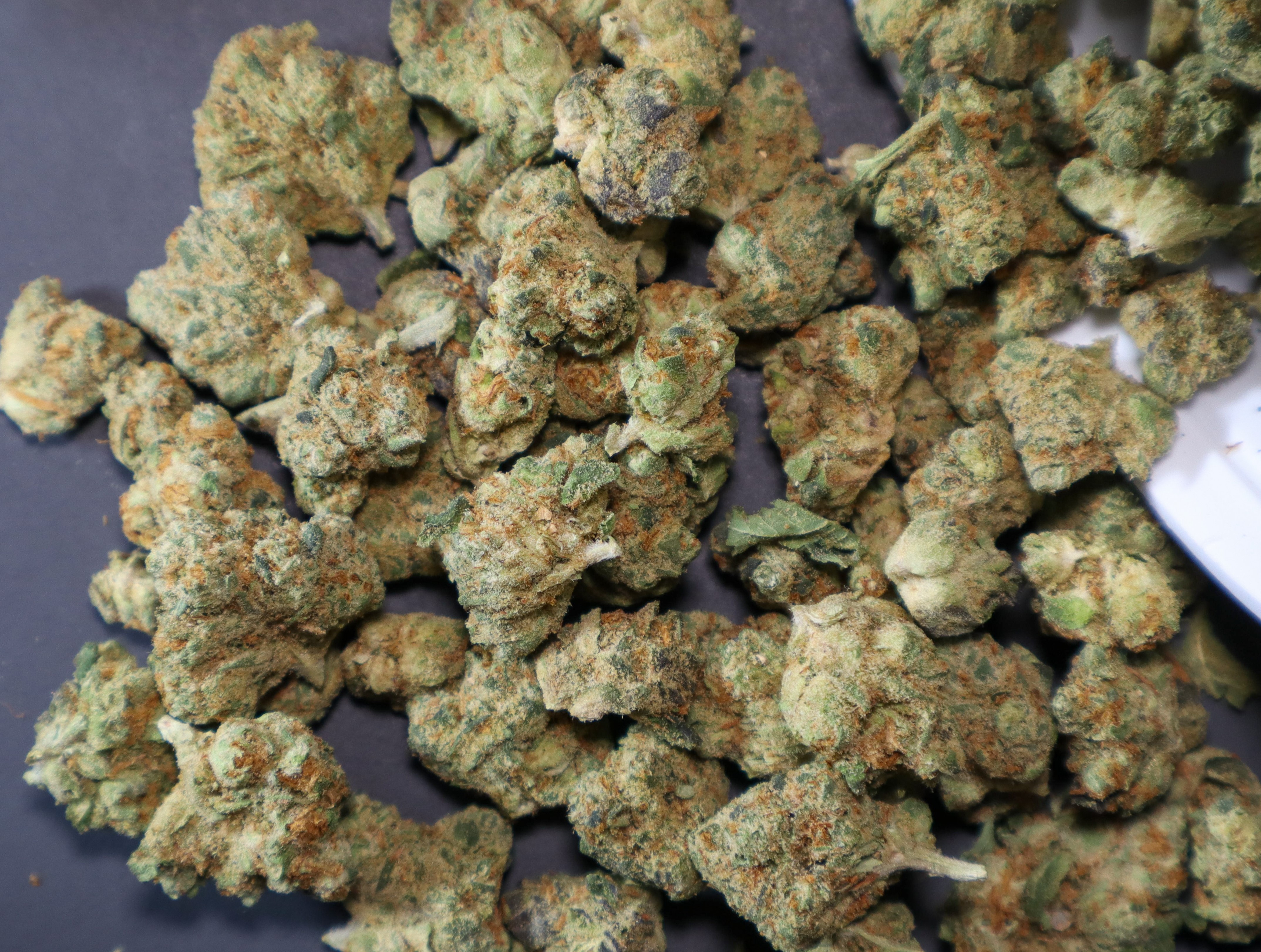 Photograph of product: Popcorn Shelf - Blue Dream (S) - 28g