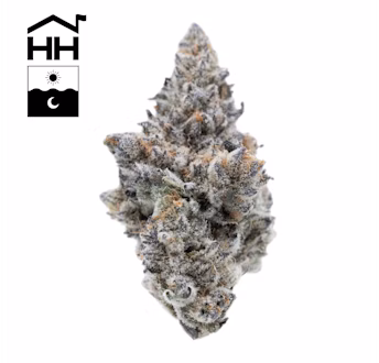 Photograph of product: Animal Tsunami - 3.5g