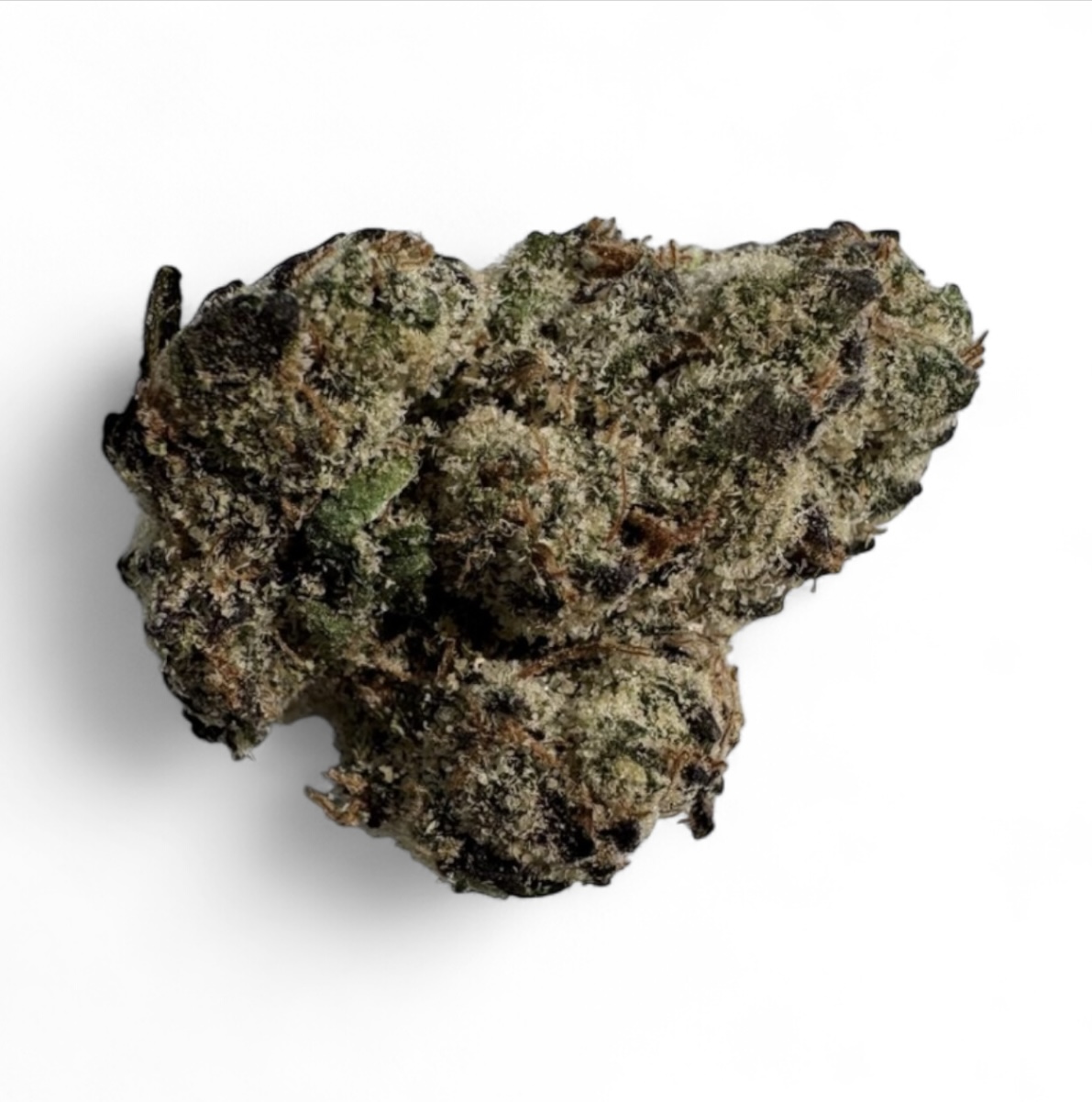 Photograph of product: CLOUD: Miami Runtz (H) - 28g
