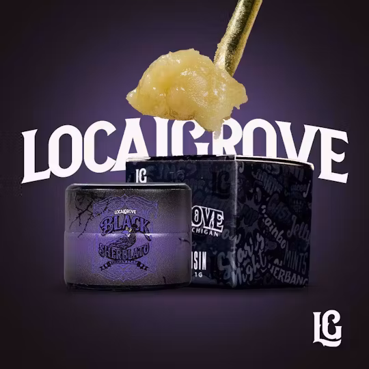 Photograph of product: LOCAL GROVE | BLACK SHERBLATO - LIVE au chocolat ROSIN HYBRID