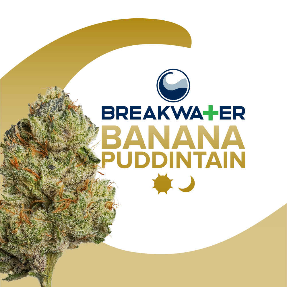 Photograph of product: Banana Puddintain Premium Flower - 7g