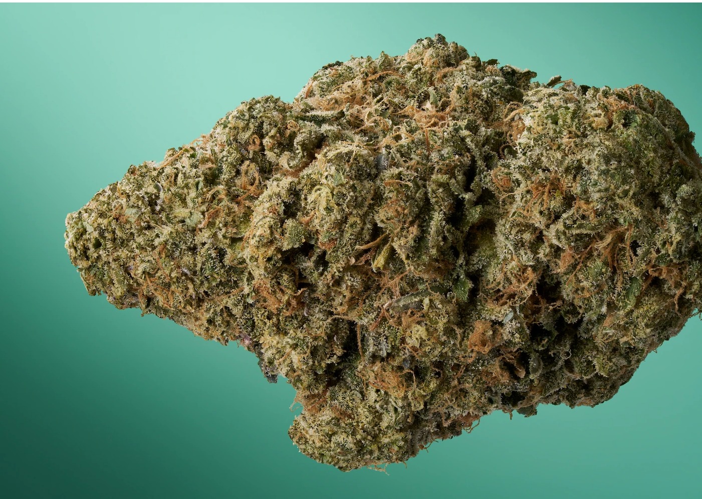 Photograph of product: Florette | Tartz | Premium Indoor Flower | 3.5g