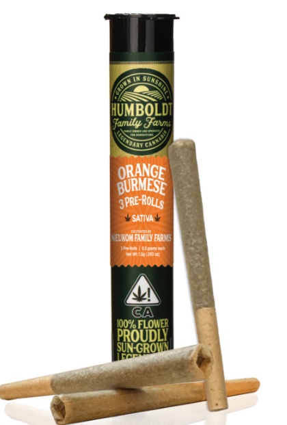 Photograph of product: Orange Burmese [S] - Prerolls 3PK