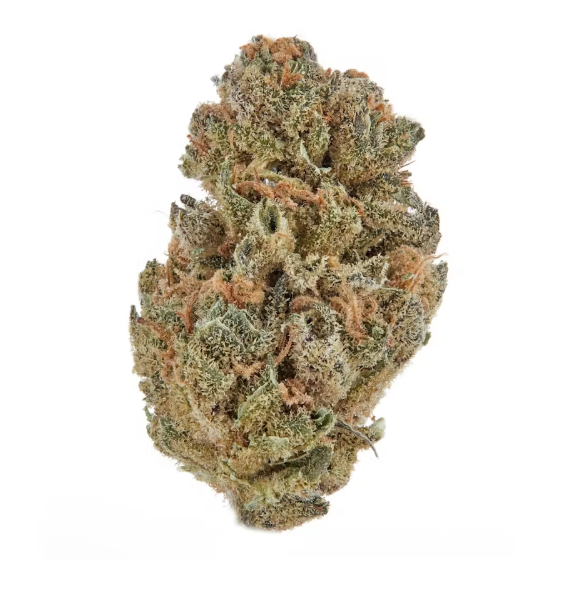 Photograph of product: Apricot Scone - Buds - 3.5g