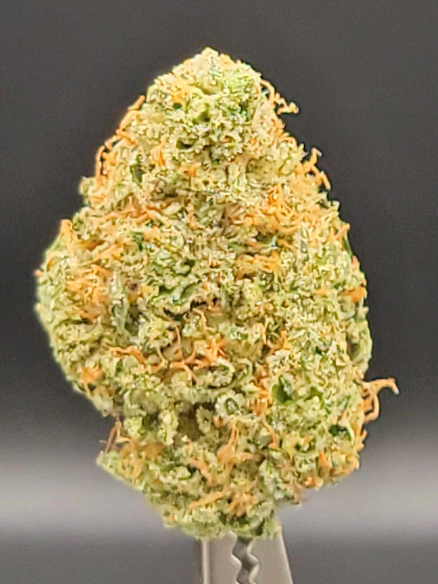 Photograph of product: Rocket Fuel | 3.28.25 SD - 7g