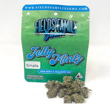Photograph of product: JELLY MINTS 14G FLOWER