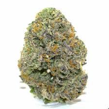 Photograph of product: Osage Creek Sooie Diesel 7g Oui'd Hybrid Flower