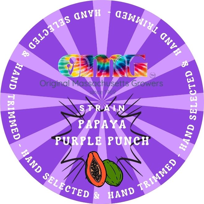 Photograph of product: Papaya Purple Punch | Live Rosin | 1g