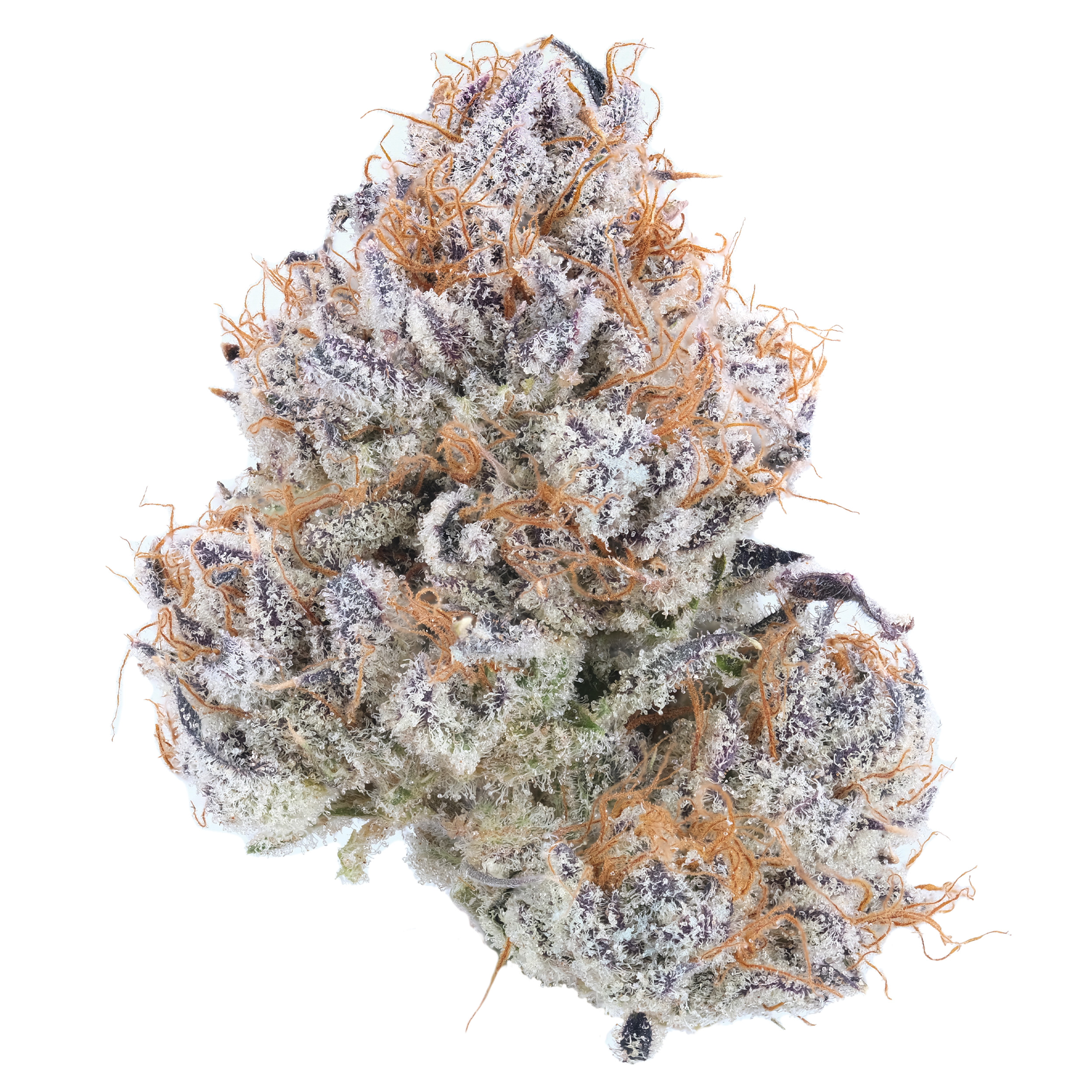 Photograph of product: Mimosa - 3.5g