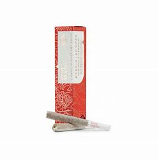 Photograph of product: Rose- DREW MARTIN- 2Pck Hybrid Pre Rolls
