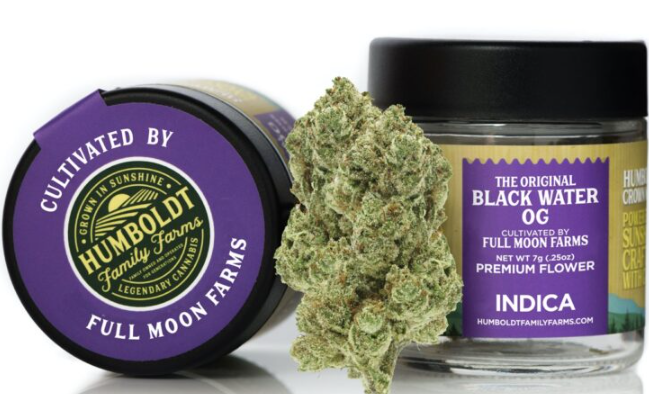 Photograph of product: Blackwater OG [I] - Flower - 7g