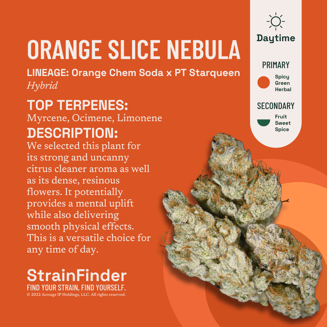 Photograph of product: Orange Slice Nebula | Flower | 28g (H)
