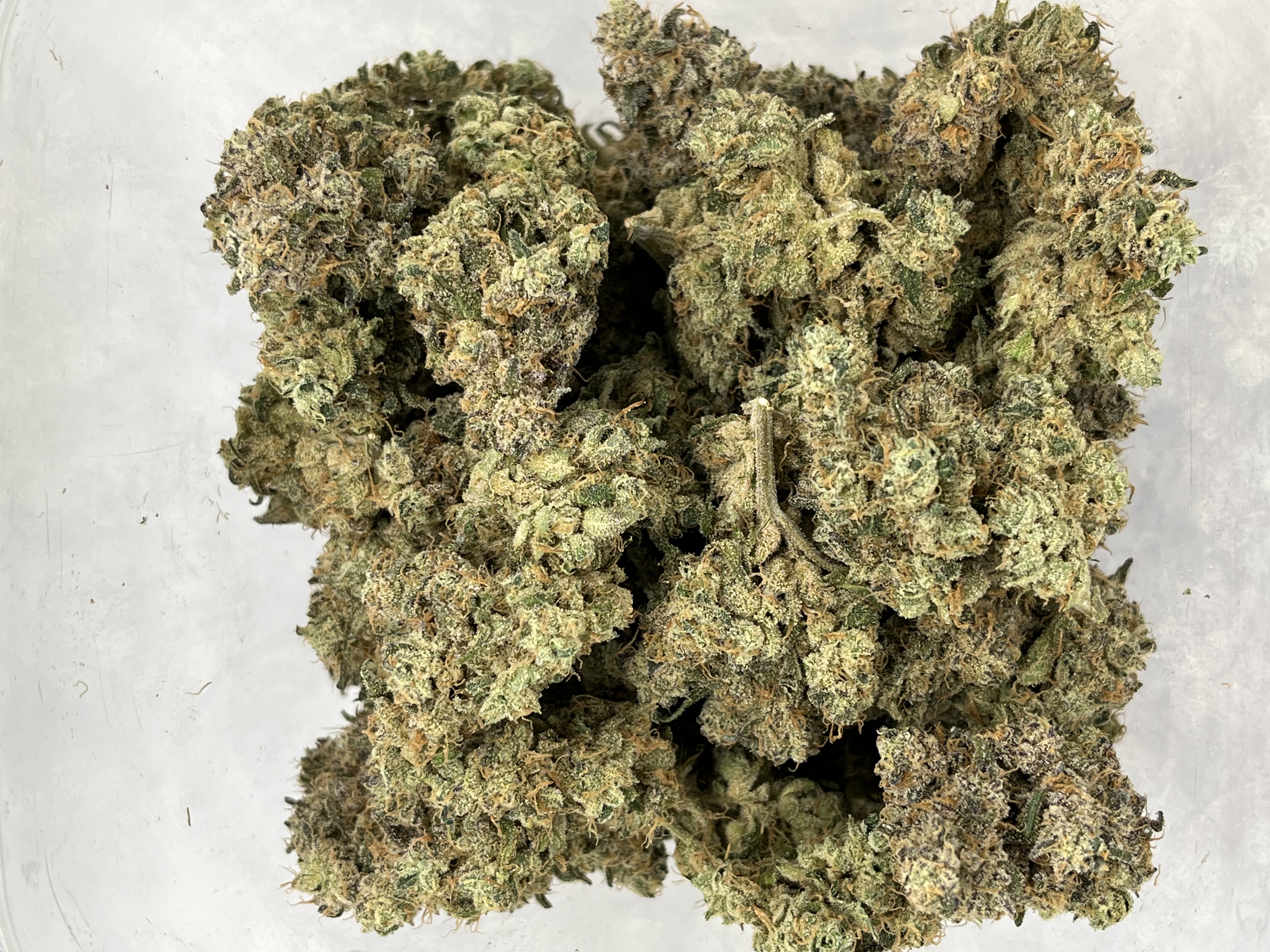 Photograph of product: Good Life Gardens: Spritzer - 28g