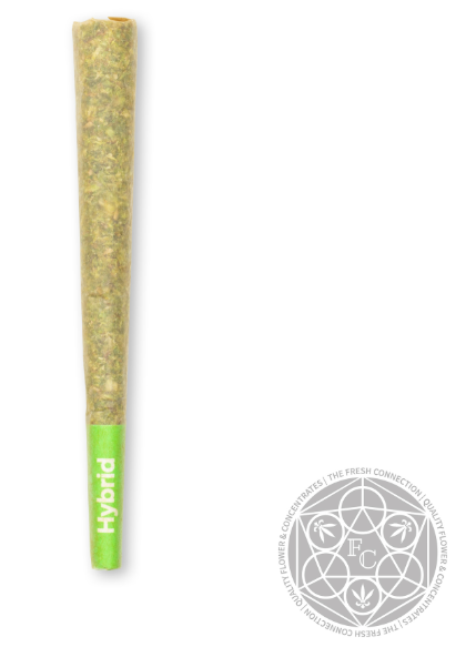 Photograph of product: Cereal Milk x Jealousy | Pre-Roll 1g (NEW)