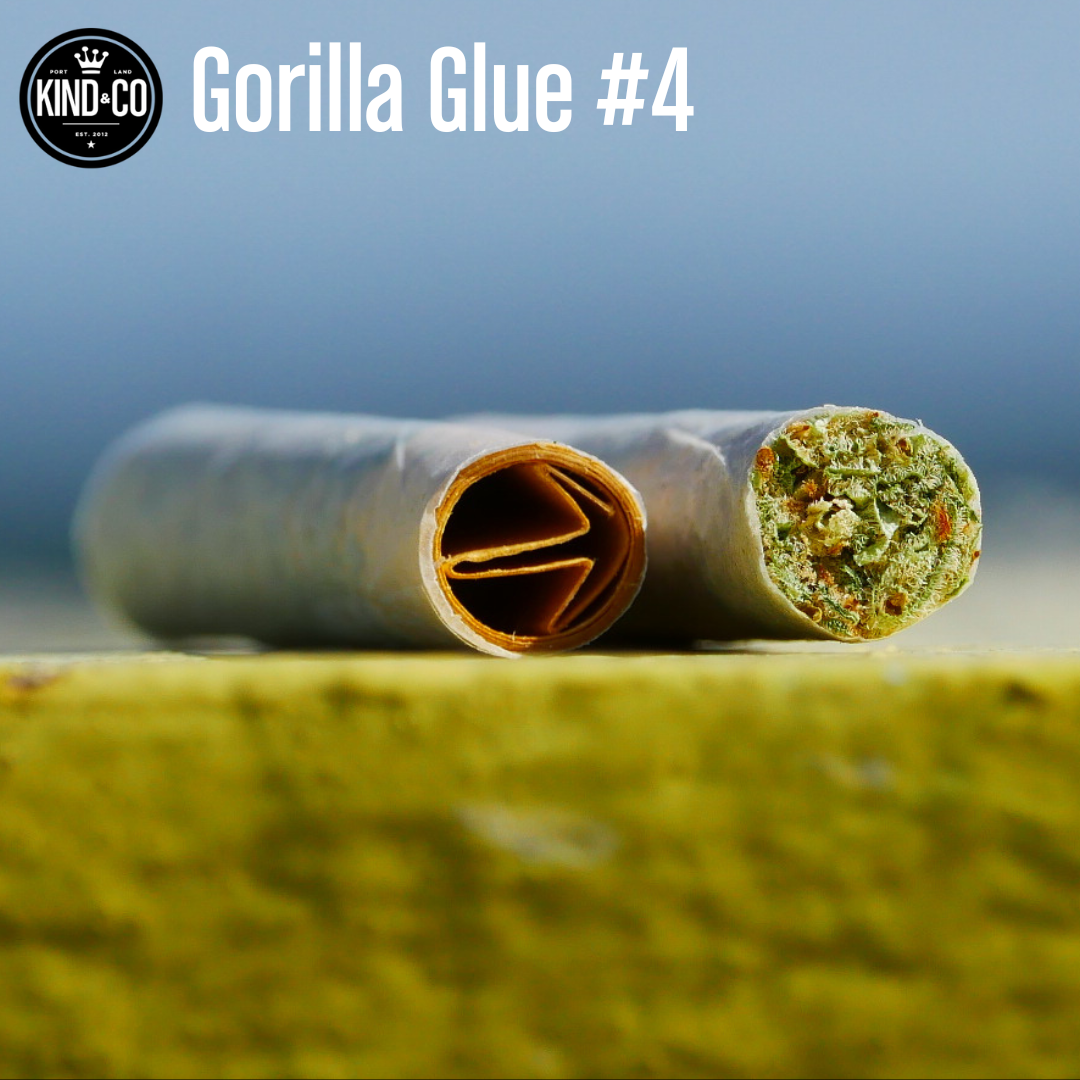 Photograph of product: Kind & Co // GG4 Preroll
