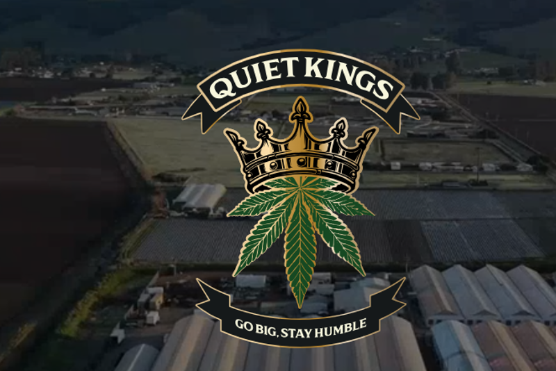 Photograph of product: QUIET KINGS - Flower - Sour Gorilla - 3.5G
