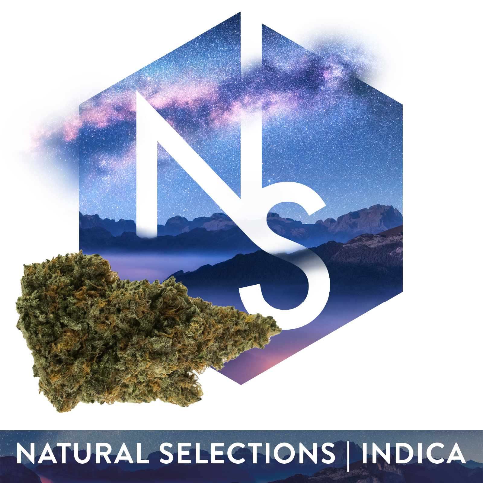 Photograph of product: Flower | Natural Selections | Rainbow Guava | 3.5g