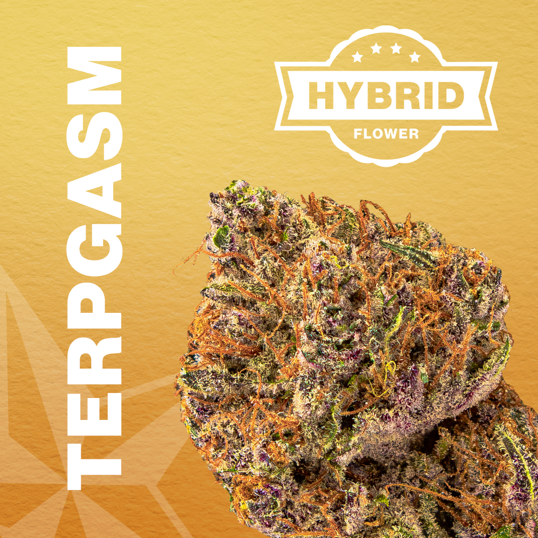 Photograph of product: Terpgasm | Flower | 3.5g